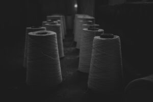 divyanshi-verma-2oruk2qVpkI-unsplash